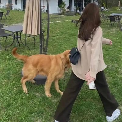 画舫情歌
